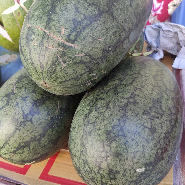 Dưa Hắc Cô Nương (1 trái)